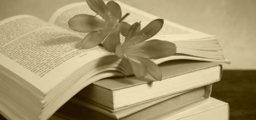 книга