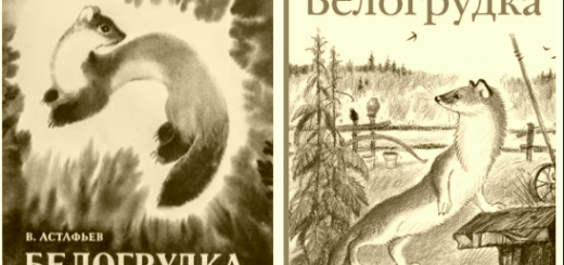 Белогрудка