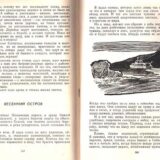 Весенний остров