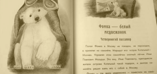 Фомка — белый медвежонок