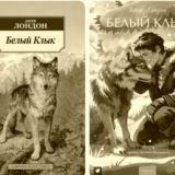 Белый клык