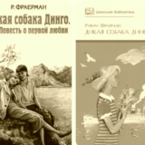 дикая собака динго