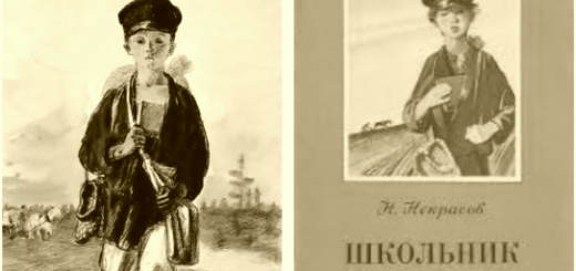 Школьник Некрасова