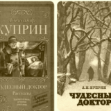 Чудесный доктор