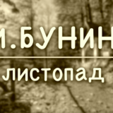 Бунин